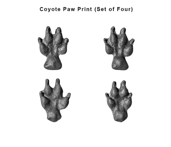 Coyote Paw Prints